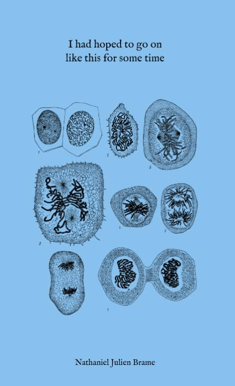 cover image for i had hoped to go on like this for some time